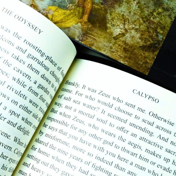 The Homer Collection: The Iliad & The Odyssey - Image 8